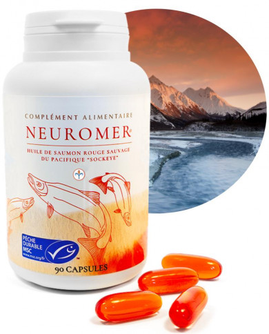 Neuromer Neuromer