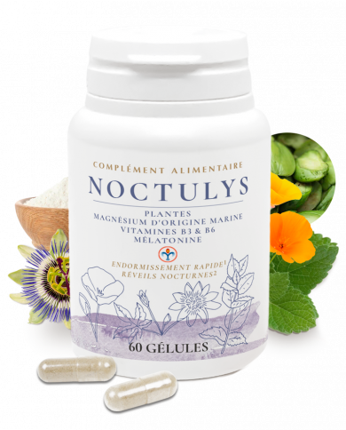 NOCTULYS NOCTULYS