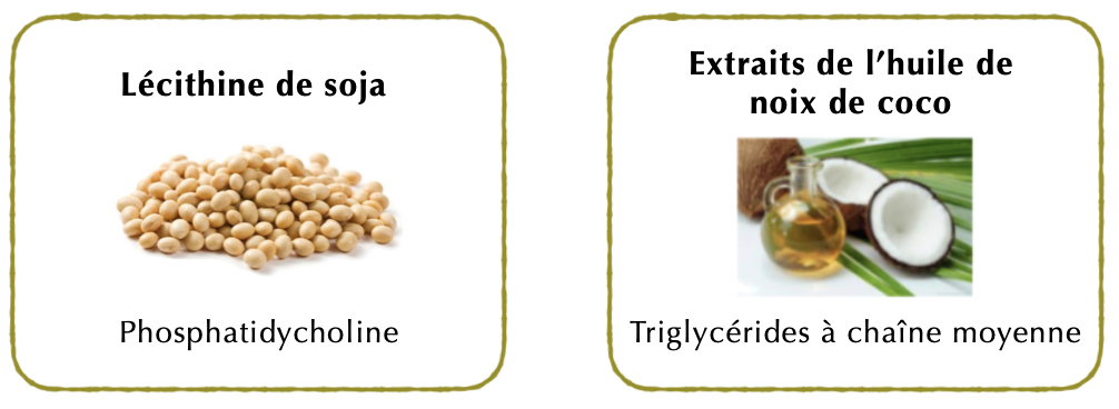 nutrigold schema.jpg