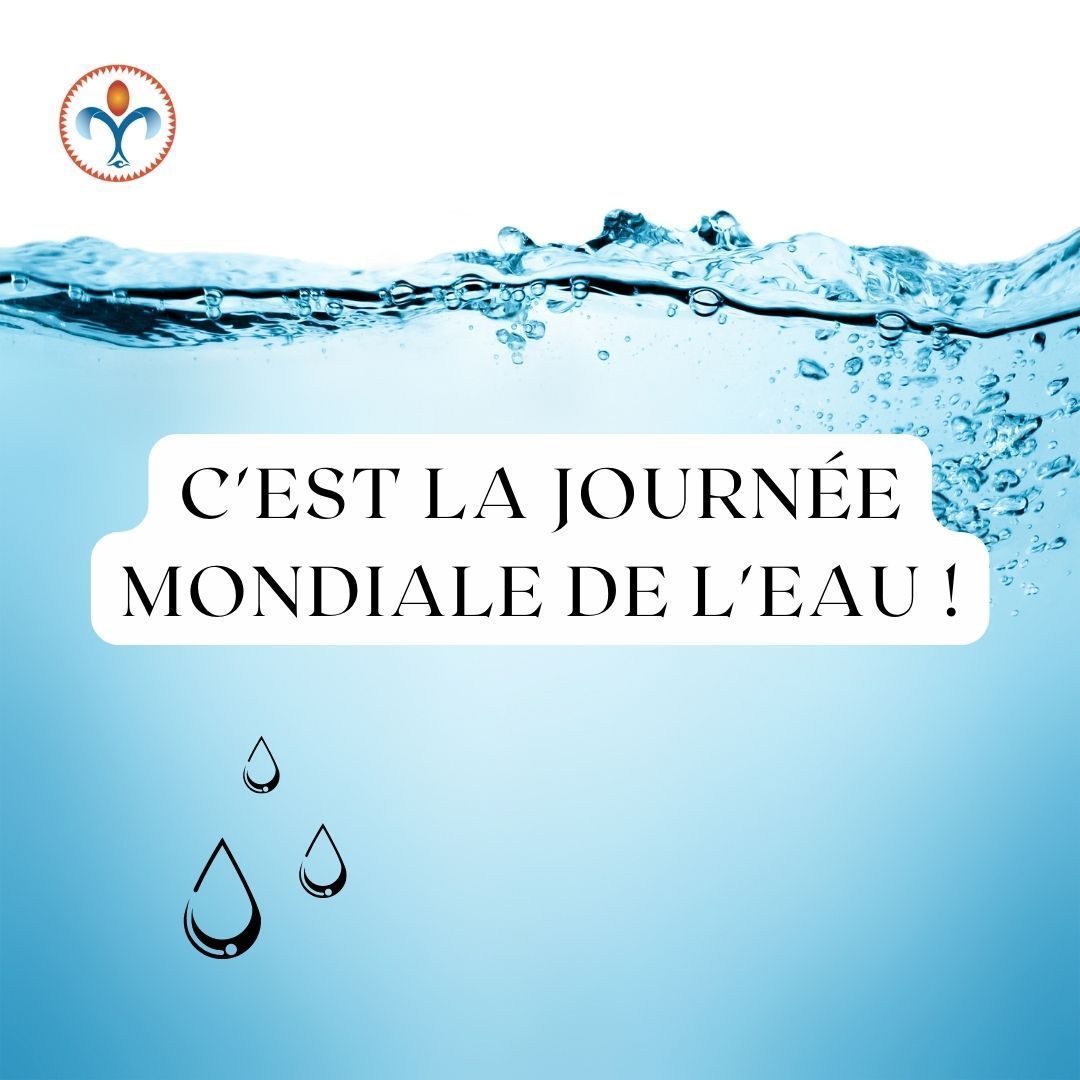 L'objectif de la journée mondiale de l'eau est de mieux faire comprendre au public la gestion durable des ressources en eau. Elle a été créée par l'ONU en 1992 et est célébrée le 22 mars.

Les pénuries d'eau se font sentir dans le monde entier en raison des dommages environnementaux causés par le changement climatique. La dégradation de la végétation, des sols, des rivières et des lacs exacerbent les inondations, les sécheresses et la pollution de l'eau.

Il est plus difficile de fournir l'eau dont nous avons tous besoin pour exister et nous développer lorsque nous ne tenons pas compte de nos écosystèmes.