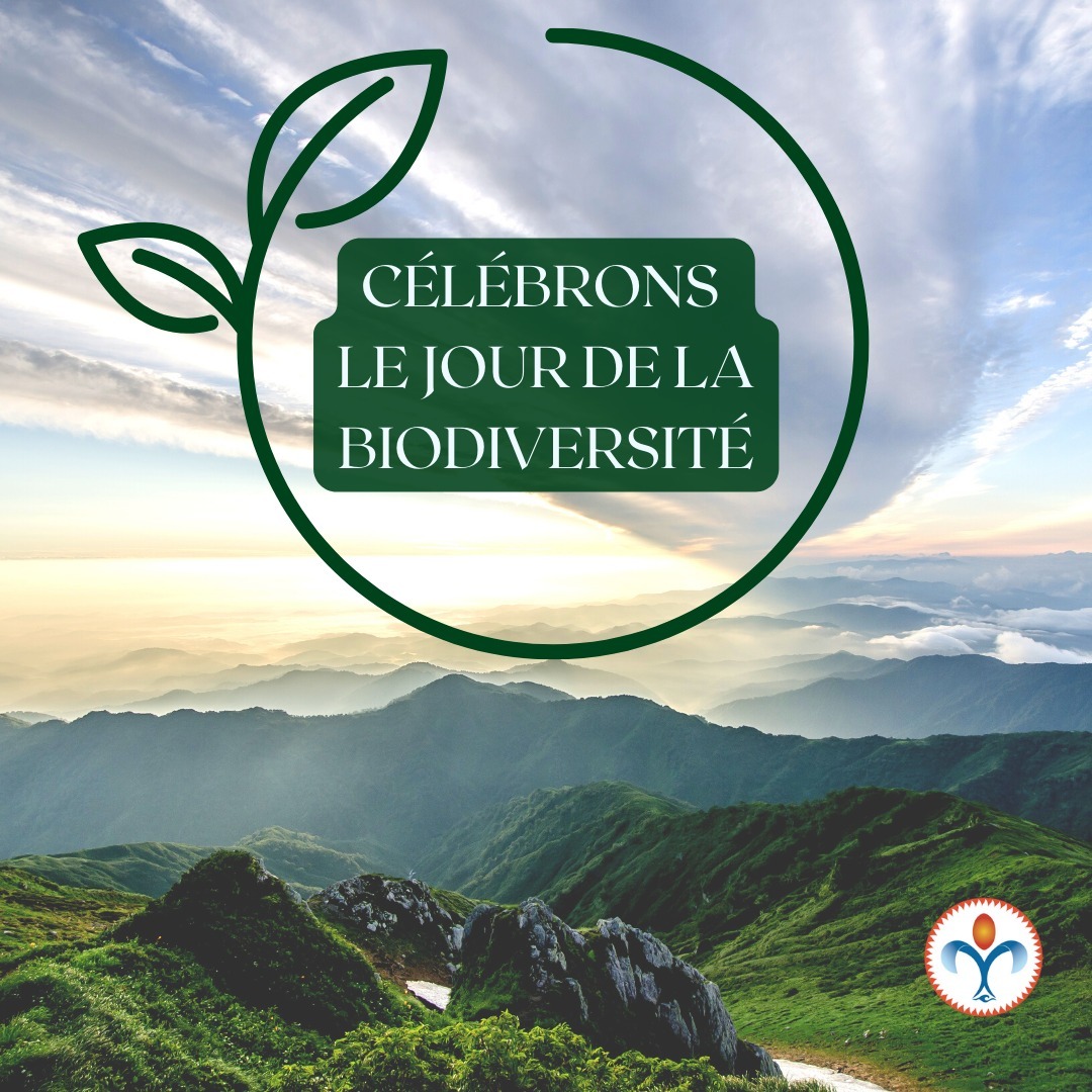 La biodiversité, ou diversité biologique, fait référence à la variété des êtres vivants et des écosystèmes qui existent sur la Terre. Elle est essentielle pour maintenir l'équilibre écologique et pour assurer la survie de toutes les formes de vie, y compris les humains. Cependant, la biodiversité est menacée par de nombreux facteurs tels que la destruction des habitats naturels, la pollution, le changement climatique et la surconsommation des ressources naturelles.

Il est important tous agir pour préserver la biodiversité afin de garantir un avenir durable pour toutes les formes de vie sur Terre !