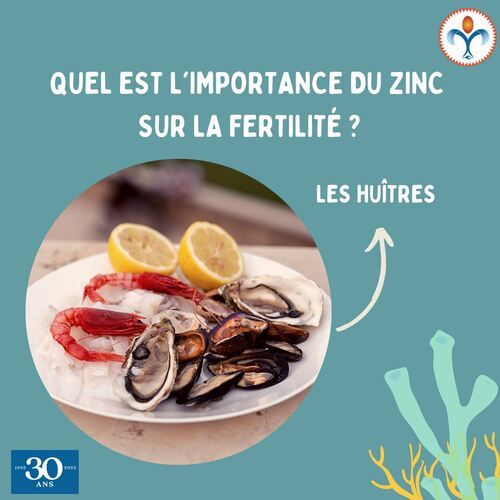 Saviez-vous que le zinc joue un rôle essentiel dans la fertilité, autant chez l’homme que chez la femme ? 💫

- Chez les femmes :
Le zinc contribue à un bon équilibre hormonal, soutient la qualité des ovocytes et joue un rôle important dans la régularité du cycle menstruel.
- Chez les hommes :
Ce minéral est indispensable à la production de testostérone, à la qualité du sperme et à la mobilité des spermatozoïdes. 

De plus, le zinc est un puissant antioxydant, qui protège les cellules reproductrices du stress oxydatif – un vrai plus quand on essaie de concevoir ! 🌱
Et vous, consommez-vous assez de zinc dans votre alimentation ?
N’hésite pas à poser tes questions en commentaire 💚

#Fertilité #Zinc #SantéHormonale #FertilitéNaturelle #Conception #NutritionFertilité #Micronutriments #ZincEtFertilité