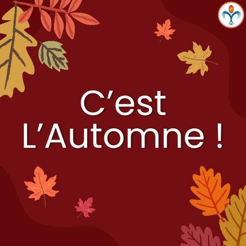 BIENVENUE À L’AUTOMNE ! 🍂

Les journées raccourcissent, les températures commencent à baisser et notre rythme change… L’automne est le moment idéal pour ralentir, prendre soin de soi et préparer son organisme à la saison froide. 🧡

✨ C’est le moment de :
- Adopter une alimentation équilibrée et riche en nutriments
- Bien s’hydrater au quotidien
- Préserver un sommeil de qualité
- Continuer à bouger et profiter des belles couleurs de la saison
- Prendre soin de son bien-être et de son énergie

Chez Nutrilys, nous vous accompagnons au fil des saisons avec une gamme de compléments alimentaires pensée pour vous aider à prendre soin de votre organisme au quotidien.

🍁 Faites de l’automne une saison pleine d’énergie et de bien-être !

#Nutrilys #Automne #BienÊtre #SantéNaturelle #Énergie